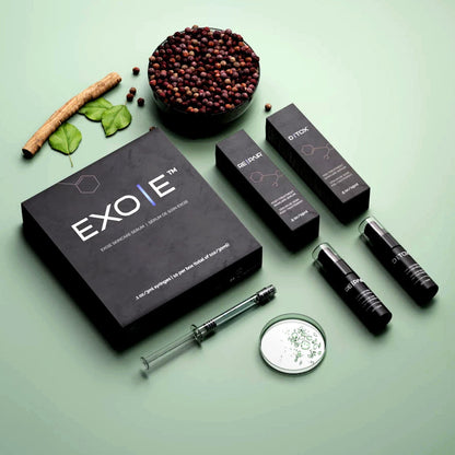 Exo:E Exosomes